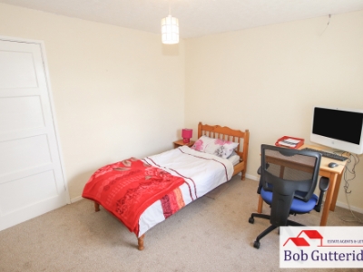Picture 13